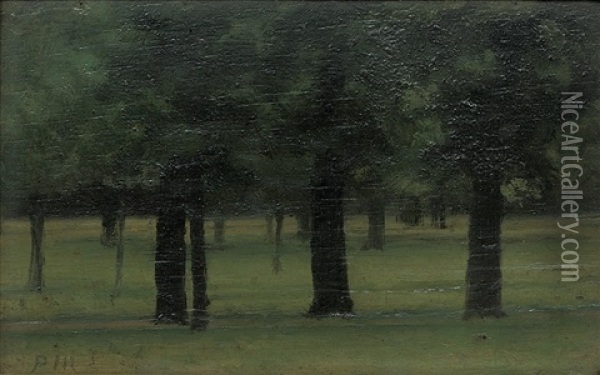 Trees In Kensington Gardens (study) Oil Painting - Paul Fordyce Maitland