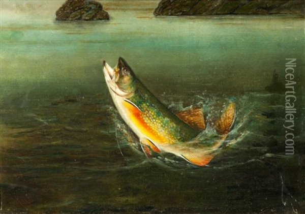 Brook Trout Oil Painting - Harry Driscole