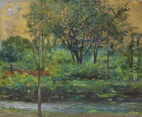 Bosque Oil Painting - Joaquin Clausell