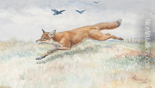 A Running Fox Oil Painting - Edmund Caldwell