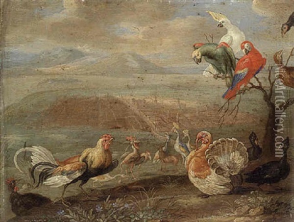 A Cockerel, A Turkey, A Cockatoo, Parrots And Other Birds In A Landscape, A City Beyond Oil Painting - Jan van Kessel the Elder
