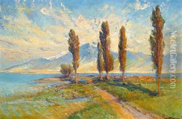 View Of A Lake Surrounded By Mountains, Presumably Lake Como In The North Of Italy Oil Painting - Holger Hvitfeldt Jerichau