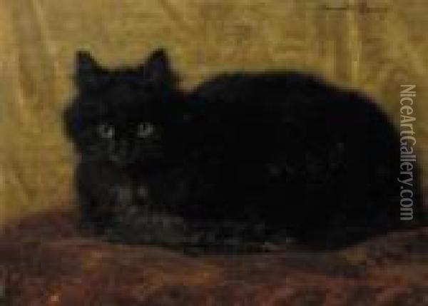 A Black Cat Oil Painting - Henriette Ronner-Knip