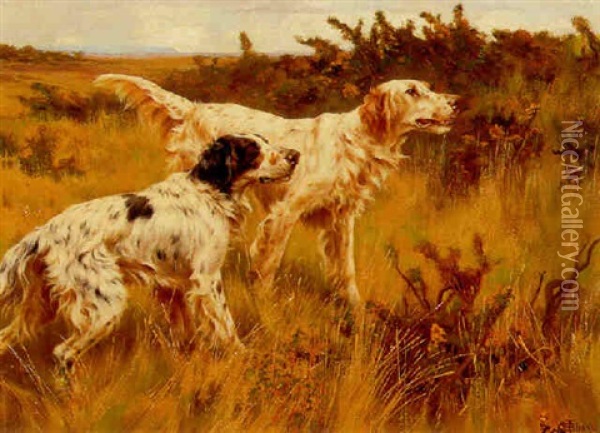 Two Setters Oil Painting - Thomas Blinks