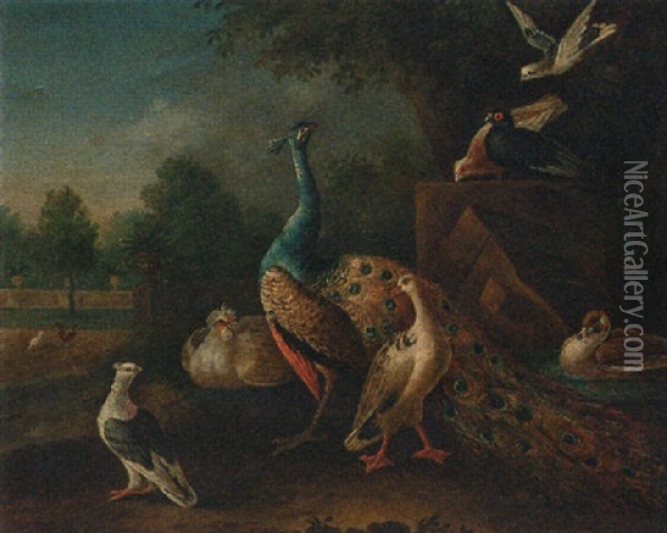 A Peacock, Ducks And Pigeons By A Pond, An Ornamental Lake Beyond Oil Painting - Pieter Casteels III