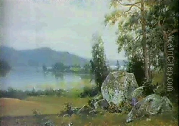 Landskapsmotiv Fran Sjon Emmaren, Ostergotland Oil Painting - Ferdinand Hernlund