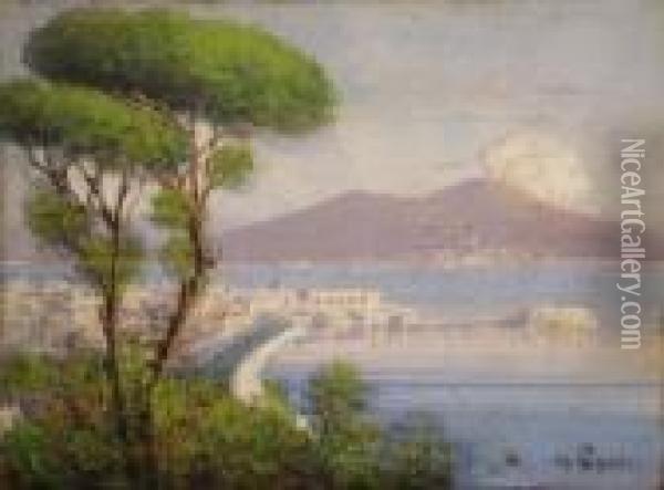 Topographical View Of The Bay Of Naples With Smoking Vesuvius To Distance Oil Painting - Gianni