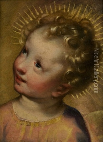 Gesu Bambino (after Federico Barocci) Oil Painting - Francesco Vanni