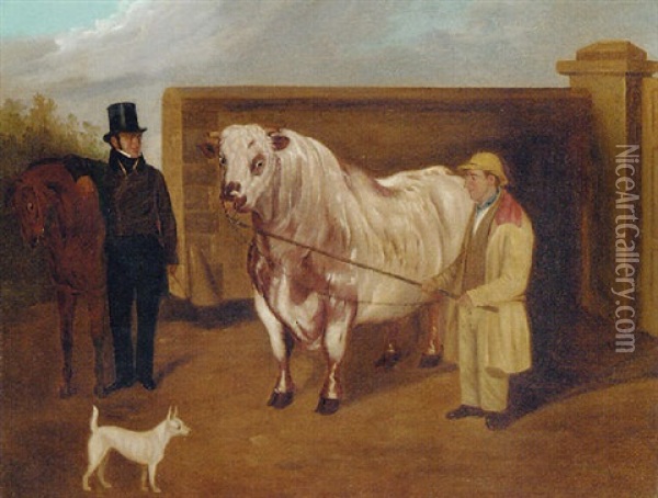 The Prize Bull Oil Painting - William Henry Davis