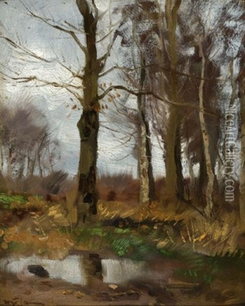 A Forest In Autumn Oil Painting - Willem George Frederik Jansen