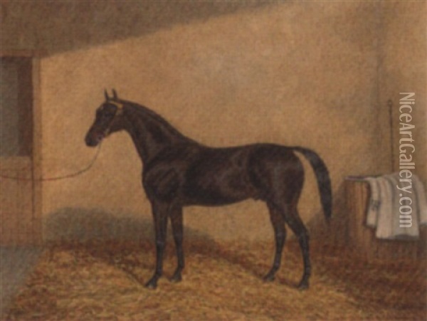 A Bay Racehorse In A Stable Oil Painting - Albert Clark
