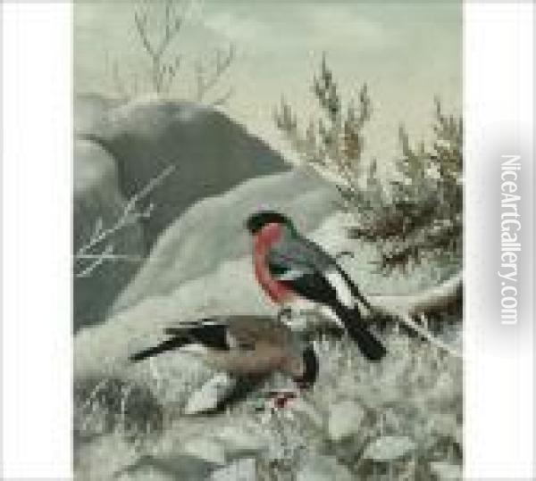 Bullfinches Oil Painting - Matti Karppanen