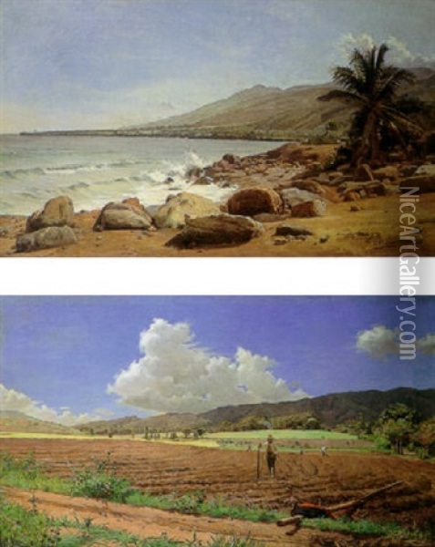 Macuto Oil Painting - Victoriano Vicente Gil