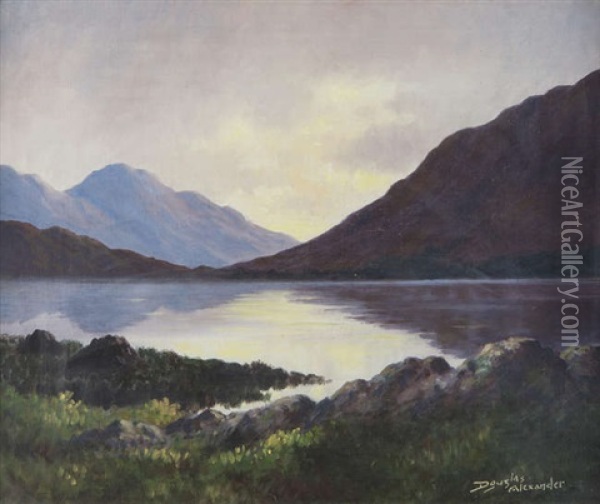 Evening Reflections On Dhu Lough, Connemara Oil Painting - Douglas Alexander