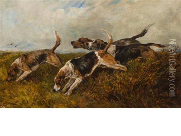 Hounds On The Scent Oil Painting - John Emms