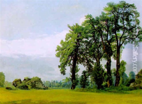 Landschaft (regni In Der Nahe Von Roanne, Frankreich) Oil Painting - Alexandre Calame