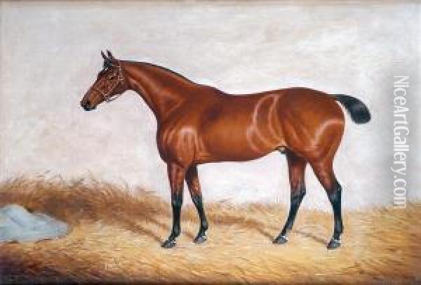 Portrait Ofa Chestnut Hunter, In A Stable Oil Painting - William Eddowes Turner