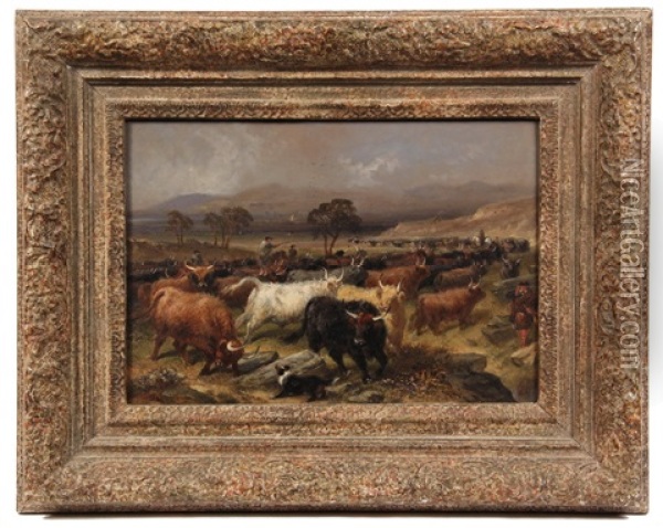 Collecting Cattle For The Fair In The Highlands Oil Painting - Aster R. Chantrey Corbould