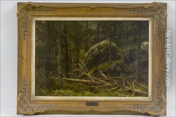 Metsamaisema - Skogslandskap. Oil Painting - Carl August H. Oesterley