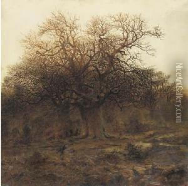 Twilight, Burnham Beeches Oil Painting - Andrew MacCallum