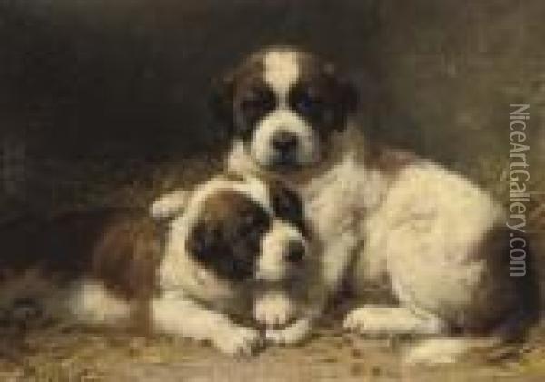 St Bernard Pups Oil Painting - Otto Eerelman