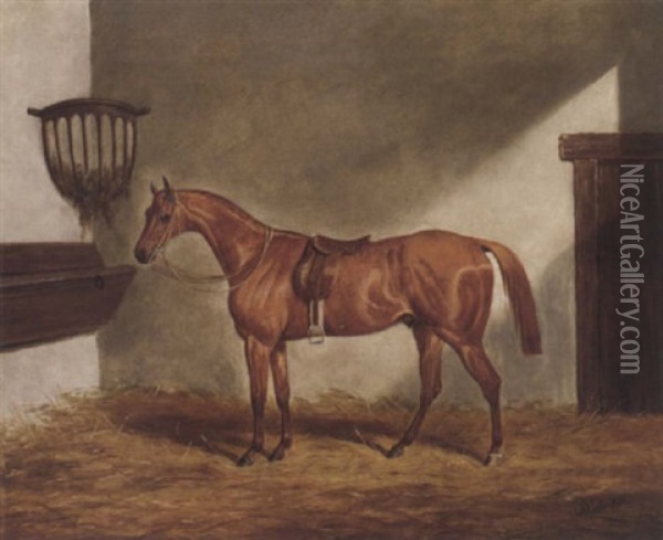 A Saddled Chestnut Hunter In A Stable Oil Painting - James (of Bath) Loder