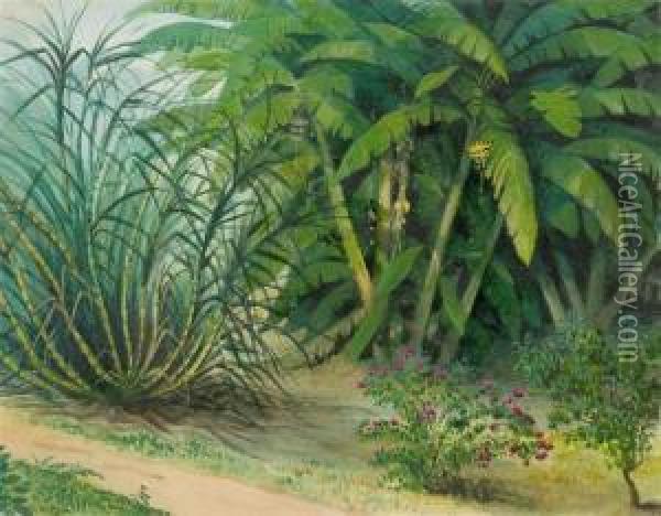 Tropical Garden. Oil Painting - William Michael Rossetti