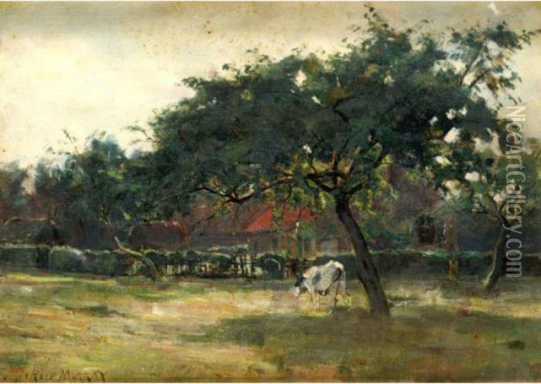 A Sunlit Pasture Oil Painting - John Reed Murray