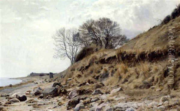 Strandbillede Oil Painting - Janus la Cour