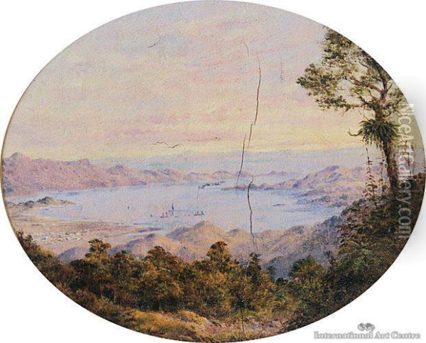 Coromandel Peninsula Oil Painting - Charles Decimus Barraud