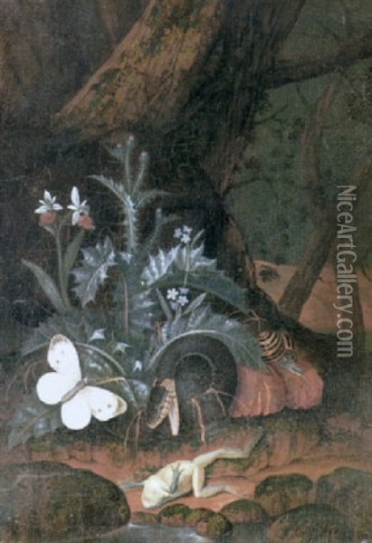 Still Life Of A Snake, A Snail, A Toad And A Butterfly Amid Undergrowth Beside A Pool Oil Painting - Carl Wilhelm de Hamilton