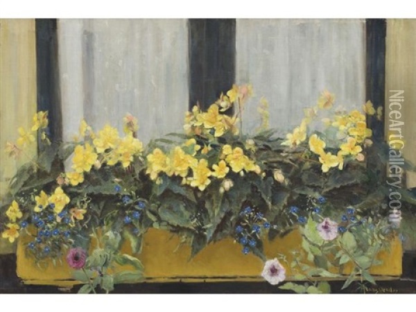 Flowers In A Window Box: Yellow Begonias, Forget-me-nots And Petunias Oil Painting - Frans David Oerder