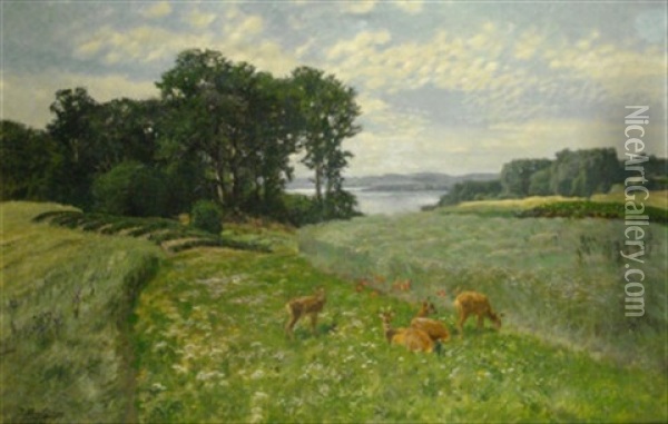 Rehe Auf Bluhender Sommerwiese, Im Hintergrund Blick Auf Weite Seenlandschaft Oil Painting - Josef Schmitzberger