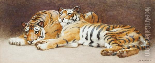 Tigers Oil Painting - John Charles Dollman