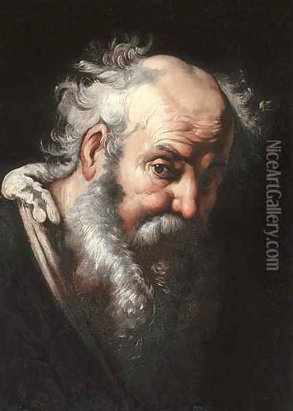 Head of a bearded man Oil Painting - Bernardo Strozzi