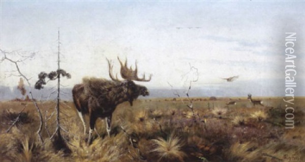 Ein Elch In Moorlandschaft Oil Painting - Richard Bernhardt Louis Friese