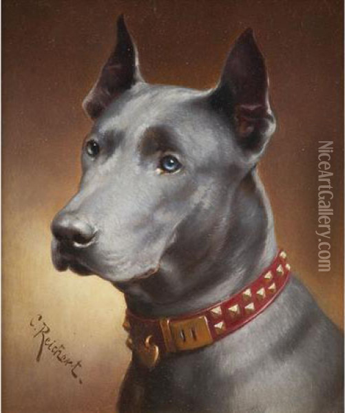 Portrait Of A Great Dane Oil Painting - Carl Reichert