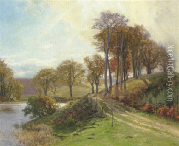 Efterarslandskab, Solen Bryder Gennem Skyerne Oil Painting - Thorvald Simeon Niss