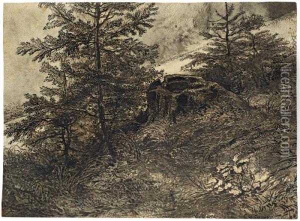 Waldstudie Oil Painting - Carl Gustav Carus