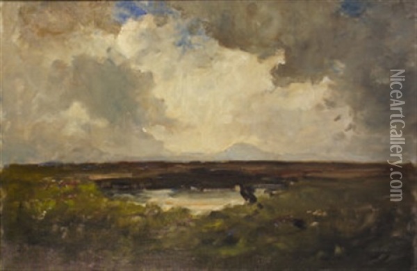 The Bog Of Erris, Co. Mayo Oil Painting - Nathaniel Hone the Younger