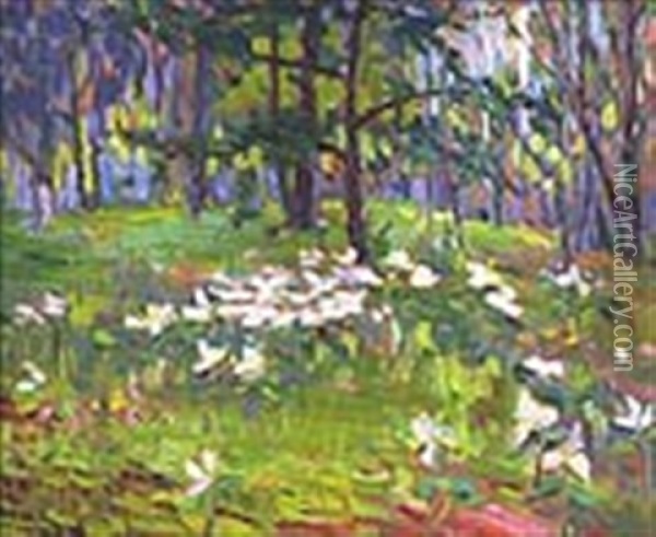 Trilliums Oil Painting - Lilly Osman Adams