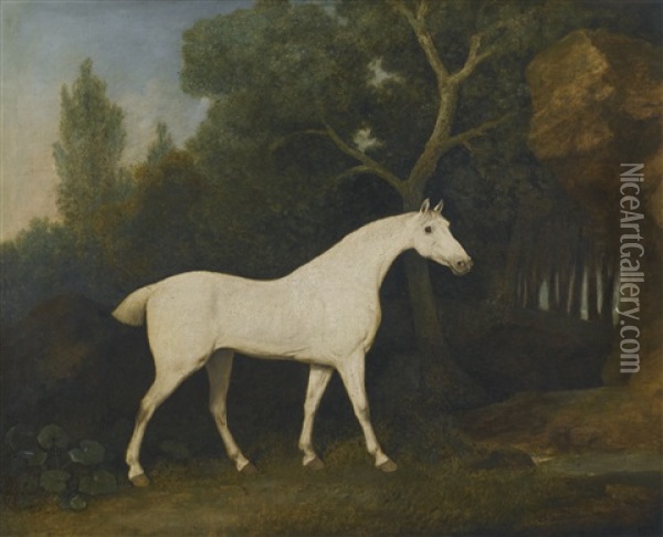 Selim, A Grey Hunter In A Paddock Oil Painting - George Stubbs