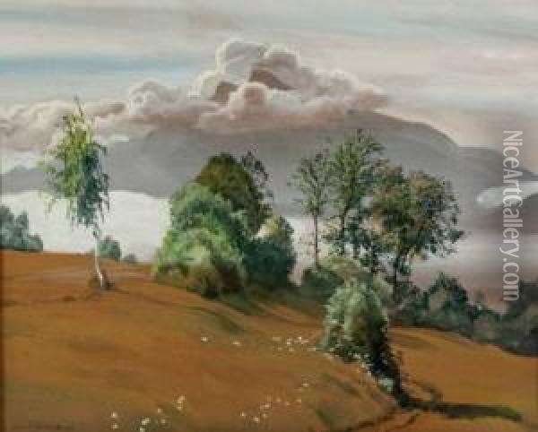 Schafberg Von Mondsee Aus Gesehen Oil Painting - Hans Frank