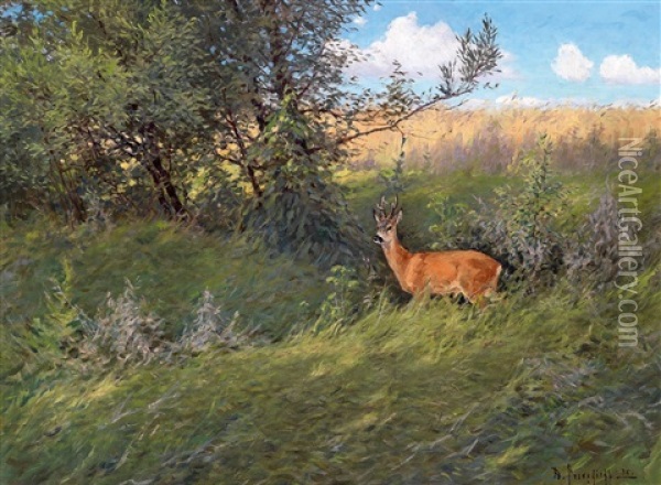 Rehbock In Einer Sommerlandschaft Oil Painting - Dimitri Von Prokofiev
