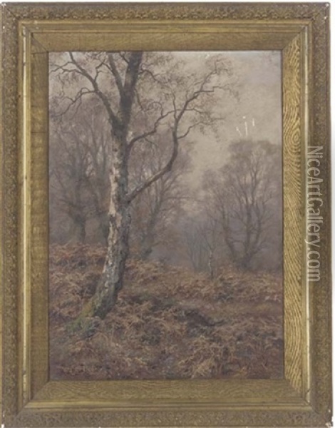 A Silver Birch In An Autumnal Wood Oil Painting - Walter Boodle