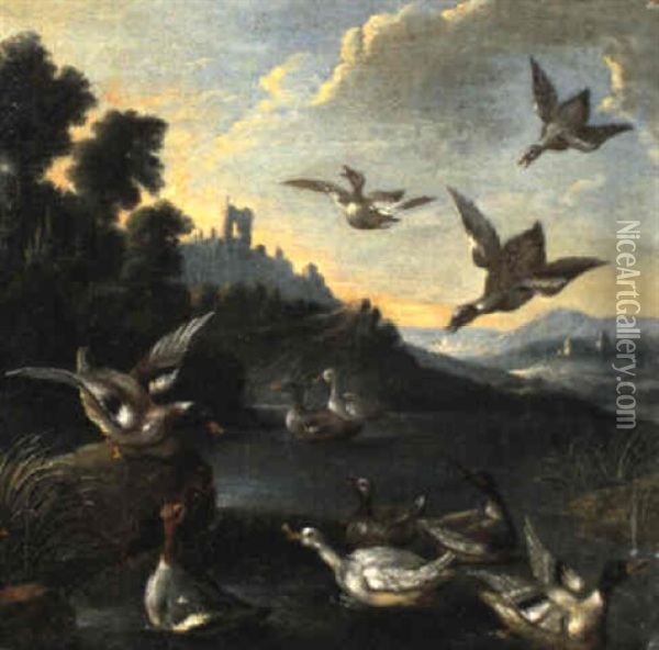 Schwimmende, Fliegende Und Sitzende Enten Am See Oil Painting - Adriaen van Oolen