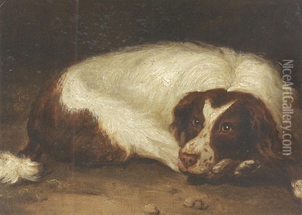 A Sporting Dog Lying Down Oil Painting - Johann Christoph Rincklake