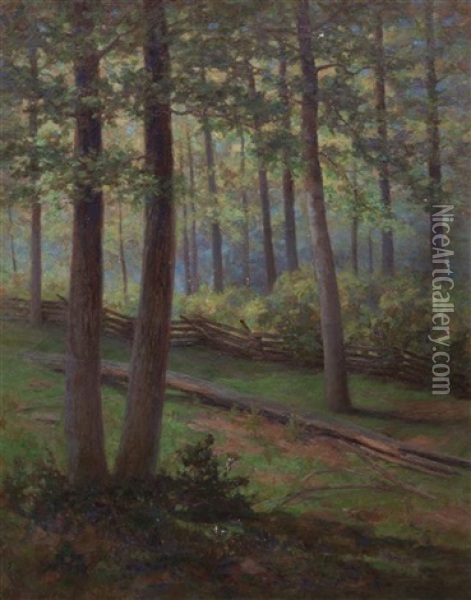 The Woods On The Hill Oil Painting - William V. Georg