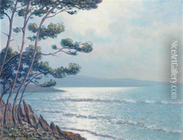 Bay At Carqueiranne Oil Painting - Arsene Chabanian