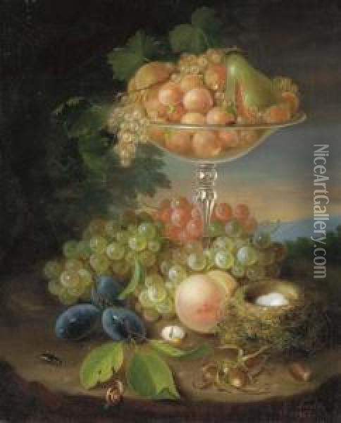 Still Life With Fruit, Nest Of Eggs And Insects Oil Painting - George Forster